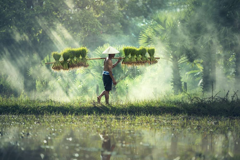 Les vacances au Cambodge